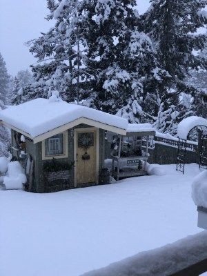 Snowshoeing Merritt BC - Nicola Valley Winter Adventures