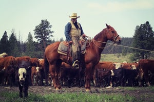 1-cowboy-on-horse